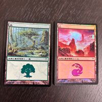 MTG Magic: The Gathering Foil 旧枠 基本土地 人気絵柄 神河 カード 森 トレカ 304/306 L Wizards of the Coast TCG サムネイル 1