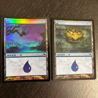 MTG マジック:ザ ギャザリング Foil 旧枠 基本土地 人気絵柄 SHM シャドウムーア カード 島 トレカ 287/301 L Wizards of the Coast TCG サムネイル 1