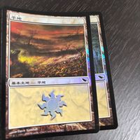 MTG Magic: The Gathering Foil 旧枠 基本土地 人気絵柄 SHM シャドウムーア カード 平地 トレカ 284/301 L Wizards of the Coast TCG サムネイル 2
