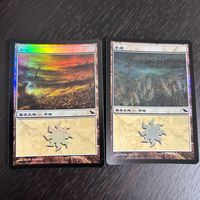MTG Magic: The Gathering Foil 旧枠 基本土地 人気絵柄 SHM シャドウムーア カード 平地 トレカ 284/301 L Wizards of the Coast TCG サムネイル 1