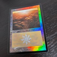 MTG Magic: The Gathering Foil 旧枠 基本土地 人気絵柄 INV インベイジョン カード 平地 トレカ 331/350 L Wizards of the Coast TCG サムネイル 2