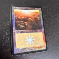MTG Magic: The Gathering Foil 旧枠 基本土地 人気絵柄 INV インベイジョン カード 平地 トレカ 331/350 L Wizards of the Coast TCG サムネイル 1