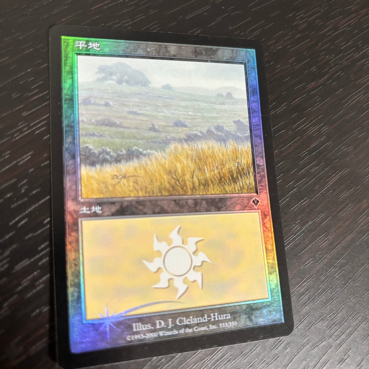 MTG マジック:ザ ギャザリング Foil 旧枠 基本土地 人気絵柄 INV インベイジョン カード 平地 トレカ 333/350 L Wizards of the Coast TCG