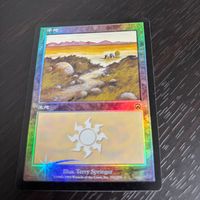 MTG Magic: The Gathering Foil 旧枠 基本土地 人気絵柄 MMQ メルカディアンマスクス カード 平地 トレカ 331/350 L Wizards of the Coast TCG サムネイル 2