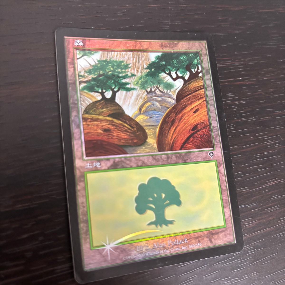 MTG マジック:ザ ギャザリング Foil 旧枠 基本土地 人気絵柄 インベイジョン INV カード 森 トレカ 349/350 L Wizards of the Coast TCG