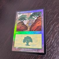 MTG マジック：ザ ギャザリング Foil 旧枠 基本土地 人気絵柄 インベイジョン INV カード 森 トレカ 349/350 L Wizards of the Coast TCG サムネイル 2