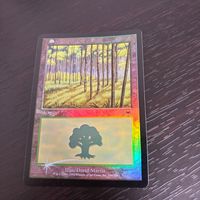 MTG マジック：ザ ギャザリング Foil 旧枠 基本土地 人気絵柄 オンスロート ONS カード 森 トレカ 350/350 L Wizards of the Coast TCG サムネイル 2