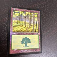 MTG マジック：ザ ギャザリング Foil 旧枠 基本土地 人気絵柄 オンスロート ONS カード 森 トレカ 350/350 L Wizards of the Coast TCG サムネイル 1