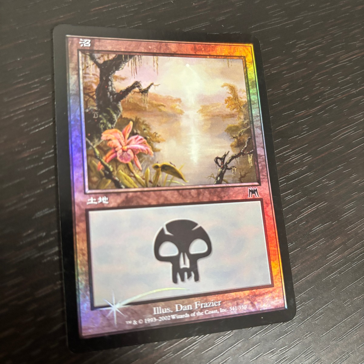 MTG Magic: The Gathering Foil 旧枠 基本土地 人気絵柄 オンスロート ONS カード 沼 トレカ 341/350 L Wizards of the Coast TCG