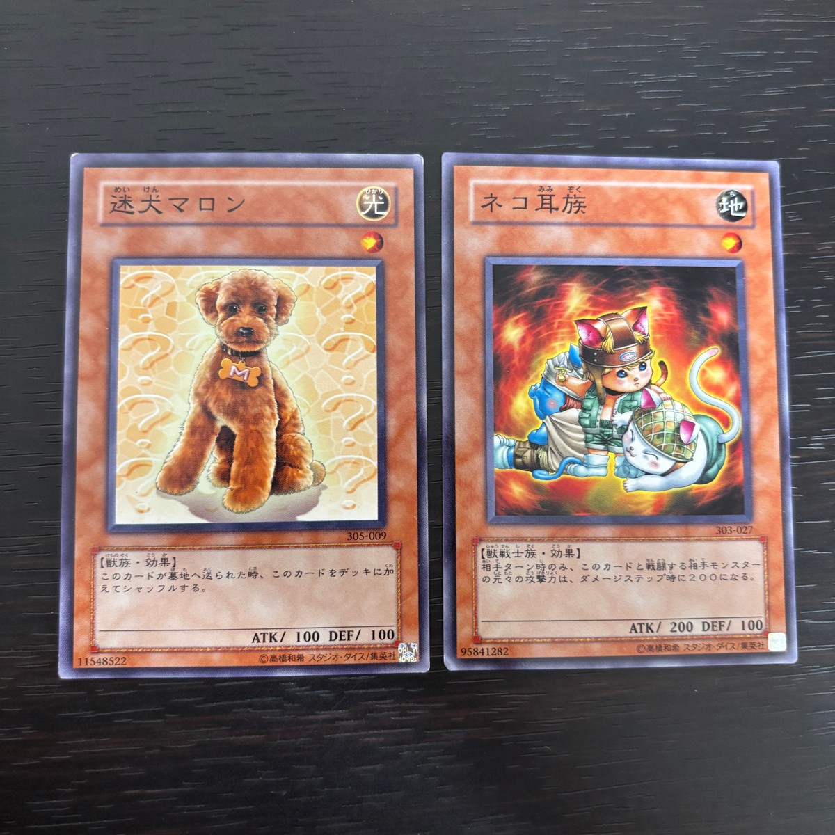 遊戯王 遊☆戯☆王オフィシャルカードゲーム 3期 ノーマルレア ノーレア カード ネコ耳族 トレカ 303-027 ノーマルレア コナミ