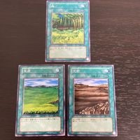 まほう表記 DL 希少型番 マジック版まほう表記 遊戯王 遊☆戯☆王オフィシャルカードゲーム カード まとめ 魔法カード(まほう表記) 森 草原 荒野 3枚 DL2-027 DL2-030 DL2-028 コナミ TCG