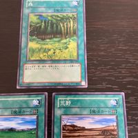 まほう表記 DL 希少型番 マジック版まほう表記 遊戯王 遊☆戯☆王オフィシャルカードゲーム カード まとめ 魔法カード(まほう表記) 森 草原 荒野 3枚 DL2-027 DL2-030 DL2-028 コナミ TCG サムネイル 2