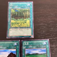 まほう表記 DL 希少型番 マジック版まほう表記 遊戯王 遊☆戯☆王オフィシャルカードゲーム カード まとめ 魔法 森 山 草原 3枚 DL2-027 DL2-029 DL2-030 コナミ TCG サムネイル 2