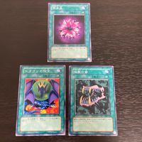 まほう表記 DL 希少型番 マジック版まほう表記 遊戯王 遊☆戯☆王オフィシャルカードゲーム カード まとめ 魔法カード(装備) 紫水晶 ドラゴンの秘宝 猛獣の歯 3枚 DL2-023 DL2-061 DL2-022 コナミ