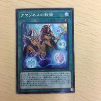 遊戯王 字レア カード トレーディングカード アマゾネスの秘術 まとめ サムネイル 5