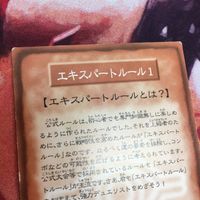 遊戯王 ルールカード 遊戯 エキスパートルール1 1/6 トークン 闇遊戯 武藤遊戯 サムネイル 8