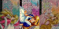 アリスコレクション プロモ カード まとめ 非売品 当選品 RANCE ランス FAVOUR 1 2 3 非売品 キラ アリス ティーアイ アリスソフト サムネイル 1