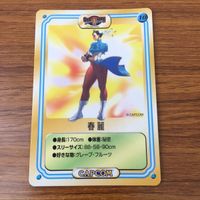 トレカ カード まとめ ロックマン X ガンロック 春麗 メルビン チョコくん トニー ザ タイガー 14 サムネイル 8