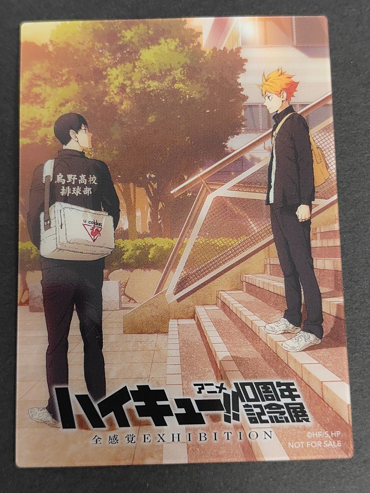 ハイキュー!! 10周年記念展 入場特典 クリアカード キービジュアル