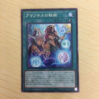遊戯王 字レア カード トレーディングカード アマゾネスの秘術 まとめ サムネイル 3