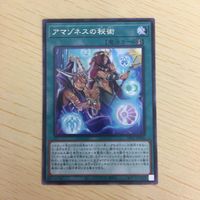 遊戯王 字レア カード トレーディングカード アマゾネスの秘術 まとめ サムネイル 5