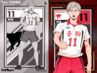 カード まとめ ハイキュー メタリック 月島蛍 No.18 澤村大地 No.15 ハイバ・リヴ No.30 及川徹 No.05 日向翔陽 No.19 メタリックカード ウエハース サムネイル 4