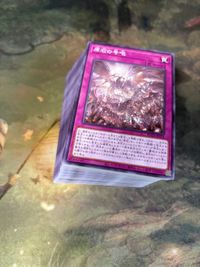 原石の号咆 100枚 型番統一 ノーマル まとめ 遊戯王 ROTA