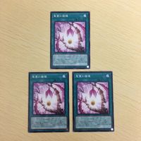Yu-Gi-Oh Normal Card Lot Japanese TCG Trading Card