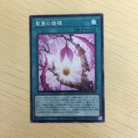 遊戯王 ノーマル カード トレーディングカード 聖蔓の播種 まとめ サムネイル 2