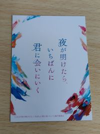 夜が明けたらいちばんに君に会いにいく 白岩瑠姫 久間田琳加 トレカ 入場特典 サムネイル 2