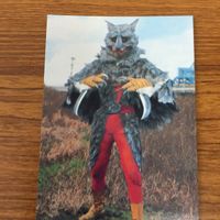 仮面ライダー カード まとめ 37 サムネイル 4