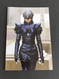 Kamen Rider The First Chips Card Japanese Rare