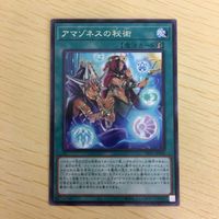遊戯王 字レア カード トレーディングカード アマゾネスの秘術 まとめ サムネイル 5