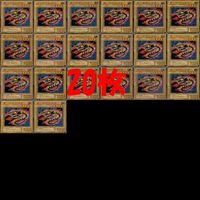 Yu-Gi-Oh Worm Drake Normal Card Lot 20 Cards