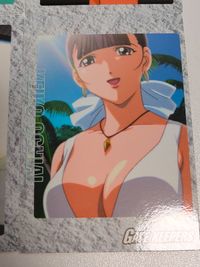 カードゲートキーパーズ カード まとめ ColleCarA GATE KEEPERS モーレツ フェイ 小川薔薇子 浮矢朗美 生沢ルリ子 落合恵子 もりたけし サムネイル 7