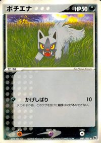 ポケモン カード まとめ ADV 第1弾 ゴマゾウ おじょうさまのお散歩 オダマキはかせ ラルトス ポチエナ キャモメ キバニア サムネイル 7