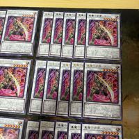 真魔六武衆 エニシ 型番統一 40枚 ROTA-JP040 字レア まとめ 遊戯王 シャドーボックス 無限回収 サムネイル 3
