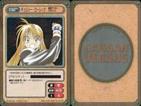 カード ガンガンヴァーサス まとめ SP EX R キラ チェルシー・ローレック 紫狼沙 シャオリン 羽崎拓 いぬ とびかげ なし 影船虫 サムネイル 2