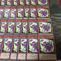 ペンギン忍者 型番統一 40枚 ノーマル BODE-JP025 遊戯王 まとめ サムネイル 5