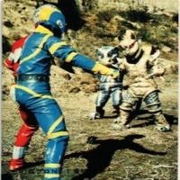 【状態C-D】166 169 170 174 サンダーマスク 超人バロム キカイダー アマダ ミニカード カード サムネイル 4