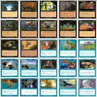 第6版 6ED 白枠 被り無しコレクション フルコンプ コンプリート 旧枠 まとめ レア 大量 MTG nvq62 6ed 6 サムネイル 6