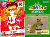けものフレンズ けもフレ カード SR まとめ ミーアキャット ヘラジカ ハクトウワシ ライオン カバ サーバル サムネイル 6