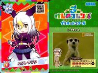 けものフレンズ けもフレ カード SR まとめ ミーアキャット ヘラジカ ハクトウワシ ライオン カバ サーバル サムネイル 7