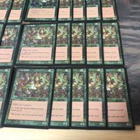 ぶどう棚 Vine Trellis 40枚 型番統一 MMQ メルカディアン・マスクス MTG 日本語 英語版 JP EN 旧枠 まとめ サムネイル 5