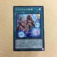 遊戯王 字レア カード トレーディングカード アマゾネスの秘術 まとめ サムネイル 3