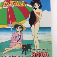 セーラームーン 美少女戦士セーラームーン カード アマダ バンダイ 65 88 82 108 本当の気持ち… セーラーマーズ サムネイル 2