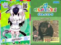 けものフレンズ けもフレ カード SR まとめ リカオン サバンナシマウマ チャプマンシマウマ オグロヌー シロサイ キングコブラ アフリカオオコノハズク サムネイル 5