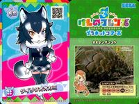 けものフレンズ けもフレ カード SR まとめ リカオン サバンナシマウマ チャプマンシマウマ オグロヌー シロサイ キングコブラ アフリカオオコノハズク サムネイル 9