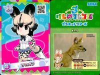 けものフレンズ けもフレ カード SR まとめ リカオン サバンナシマウマ チャプマンシマウマ オグロヌー シロサイ キングコブラ アフリカオオコノハズク サムネイル 7