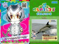 けものフレンズ けもフレ カード SR まとめ リカオン サバンナシマウマ チャプマンシマウマ オグロヌー シロサイ キングコブラ アフリカオオコノハズク サムネイル 2